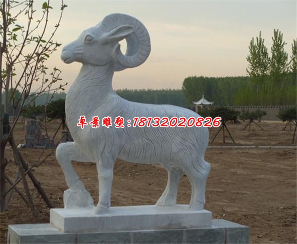 公园动物石雕羊