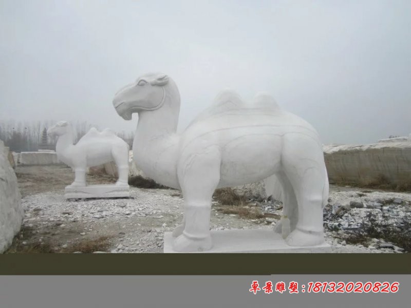 骆驼石雕，汉白玉骆驼