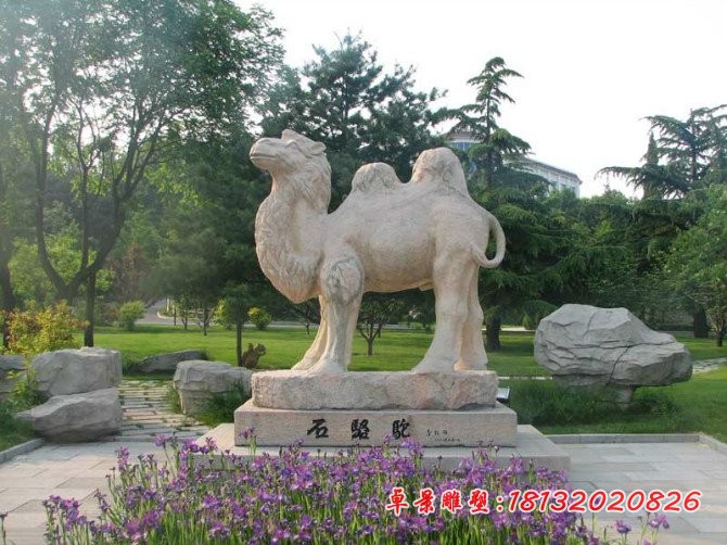 骆驼石雕，公园动物石雕 
