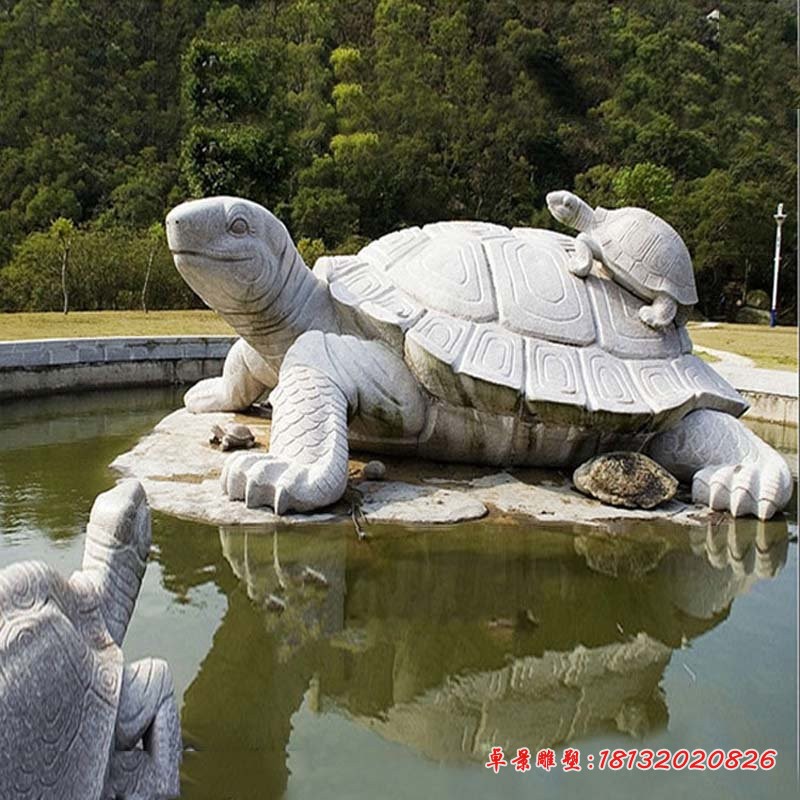 石雕乌龟 