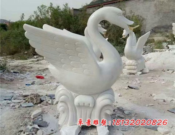 汉白玉天鹅，喷水天鹅石雕