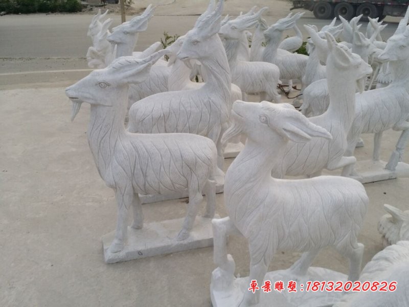 山羊石雕，公园石雕羊