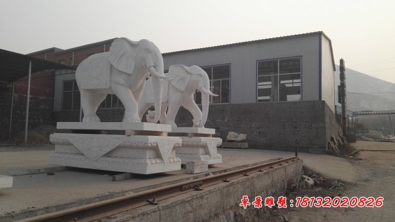 石头大象雕塑，汉白玉石雕大象 (5)