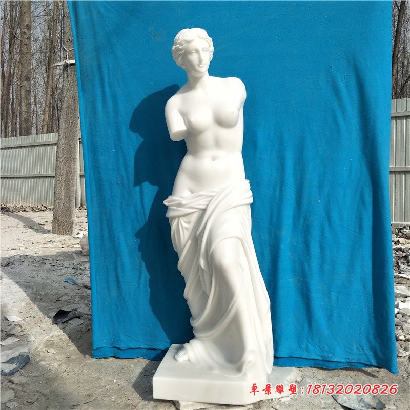 维纳斯石雕 (1)[1]