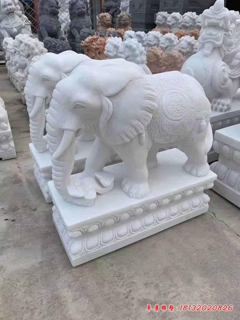 汉白玉吉祥如意小象石雕 (2)