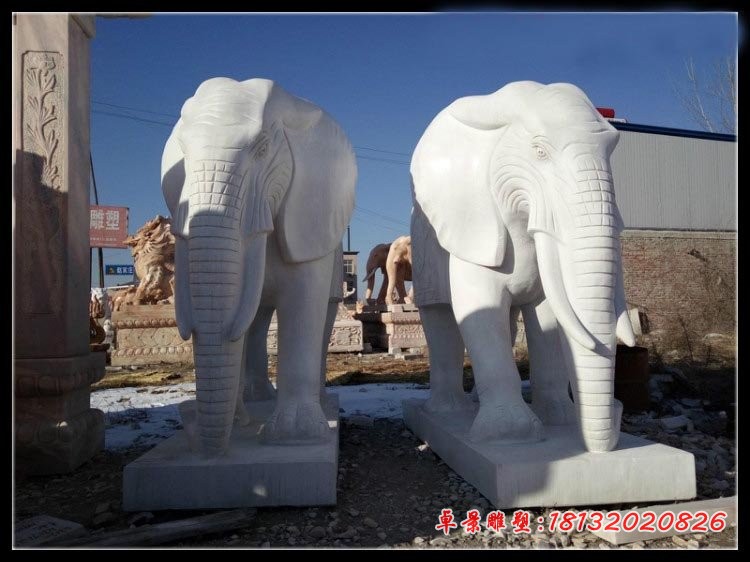 汉白玉大象石雕 门口镇宅石雕大象 