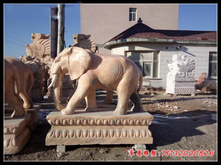晚霞红大象石雕 门口石雕大象 (2)