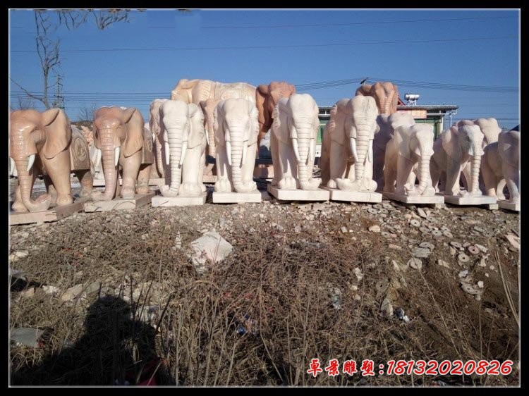 晚霞红大象石雕 门口镇宅石雕大象 (2)