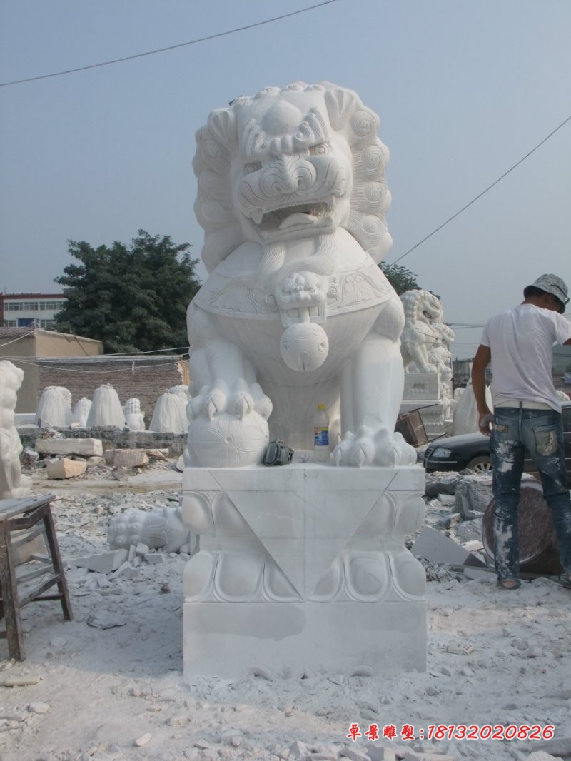 北京狮子雕塑汉白玉狮子石雕 (3)