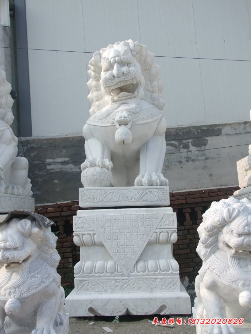 北京狮子雕塑汉白玉狮子石雕 (4)