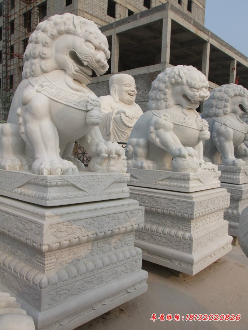 北京狮子雕塑汉白玉狮子石雕 (1)