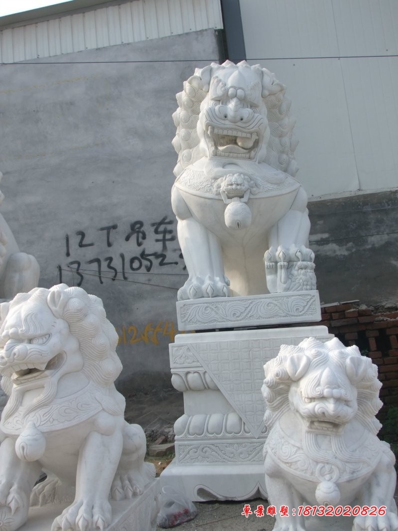 北京狮子雕塑汉白玉狮子石雕 (2)