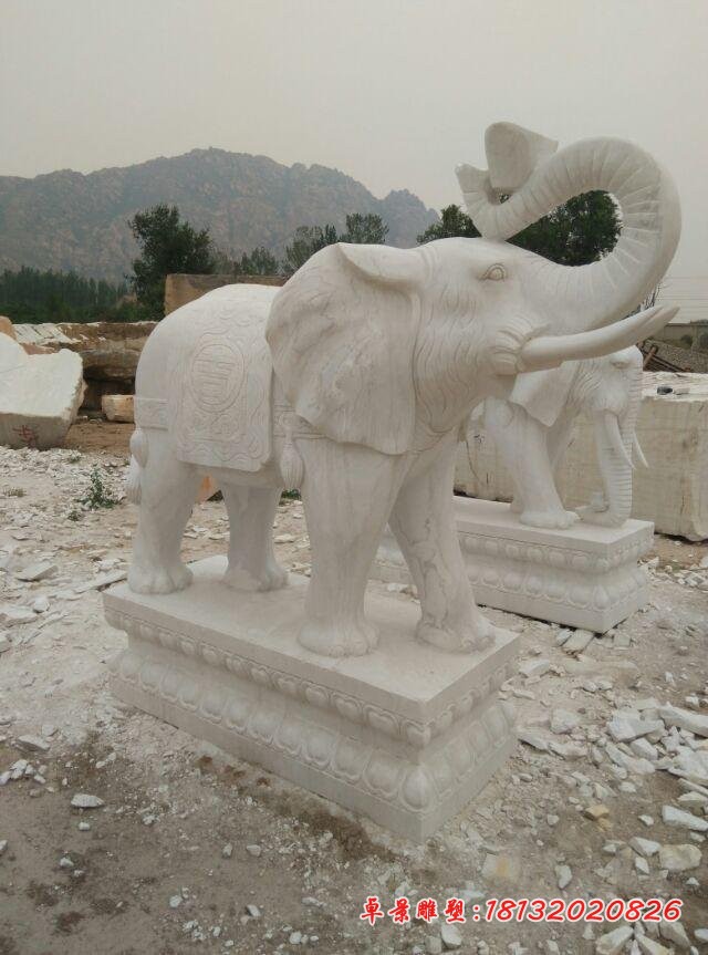 汉白玉大象雕塑招财大象石雕 (2)