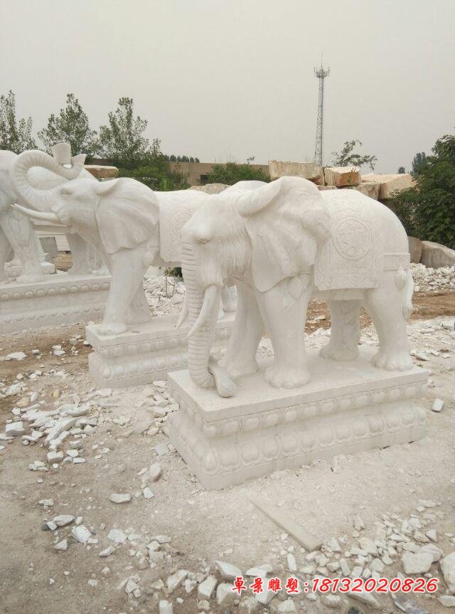 汉白玉大象雕塑招财大象石雕 (3)