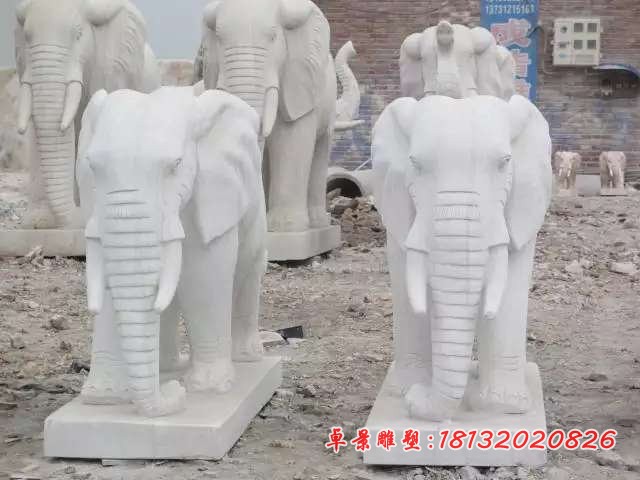 汉白玉招财大象石雕 (1)