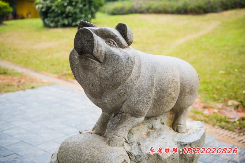 石雕猪大理石公园动物雕塑
