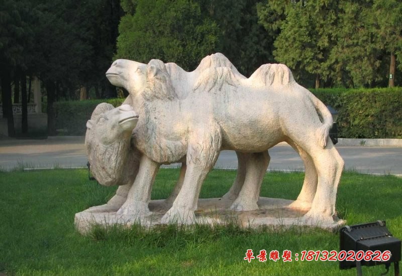 公园骆驼石雕 动物石雕