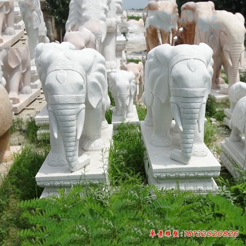 汉白玉石雕大象门口招财大象雕塑