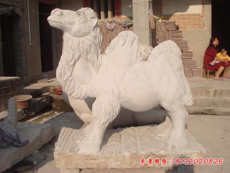 骆驼石雕，公园动物石雕