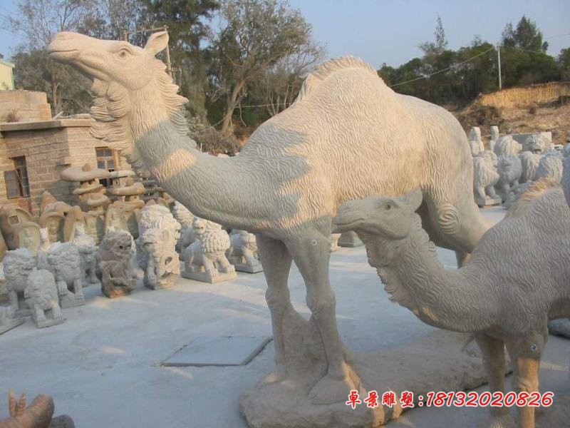 骆驼石雕，公园动物石雕，园林景观石雕 (2)