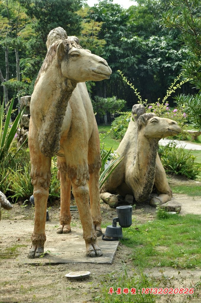 骆驼石雕，公园景观石雕
