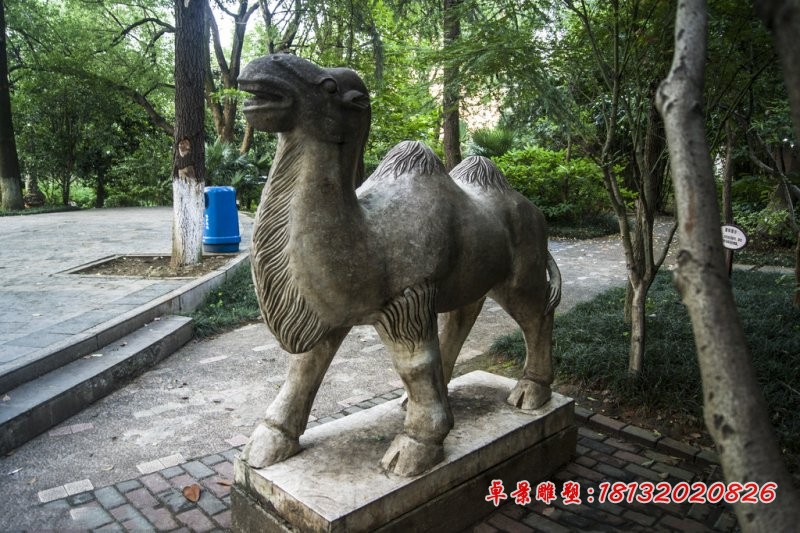 骆驼石雕，公园动物石雕，园林景观石雕