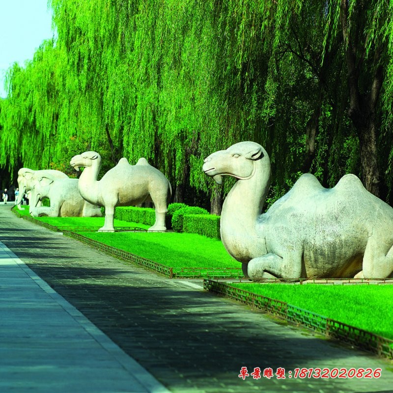 石雕骆驼，公园动物石雕 