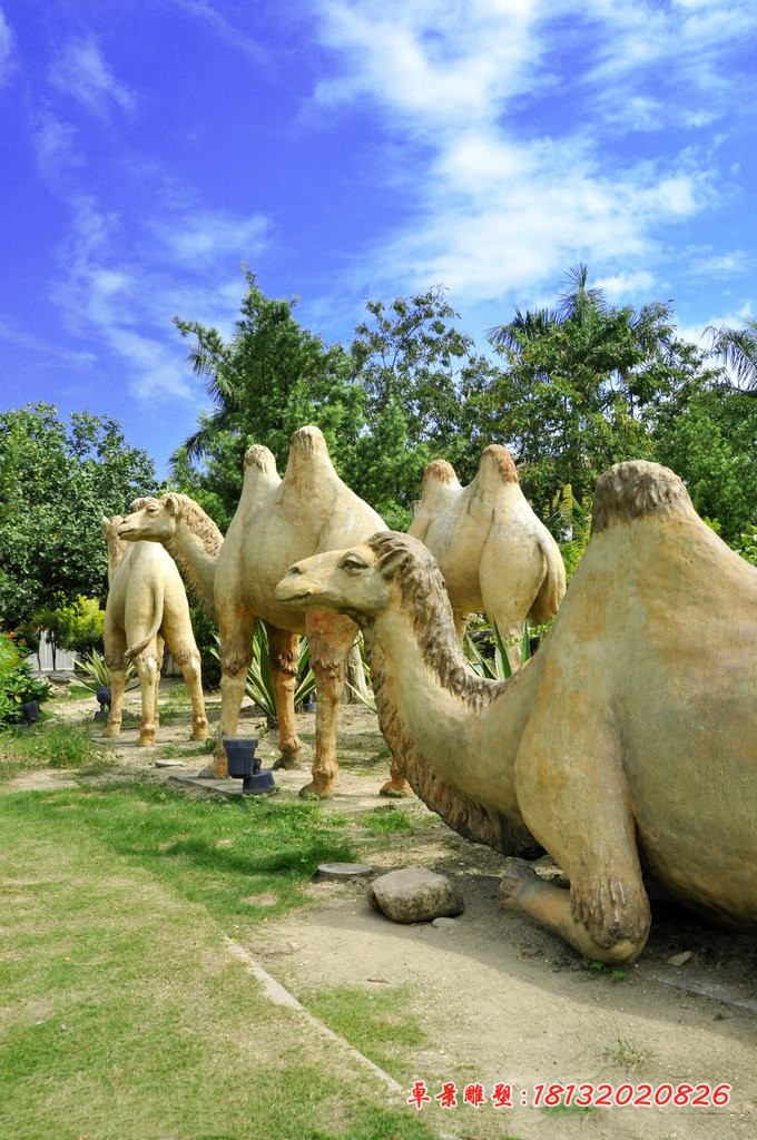 石雕骆驼，公园动物石雕