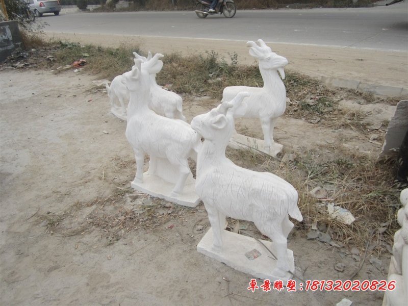 石雕山羊，汉白玉动物石雕 