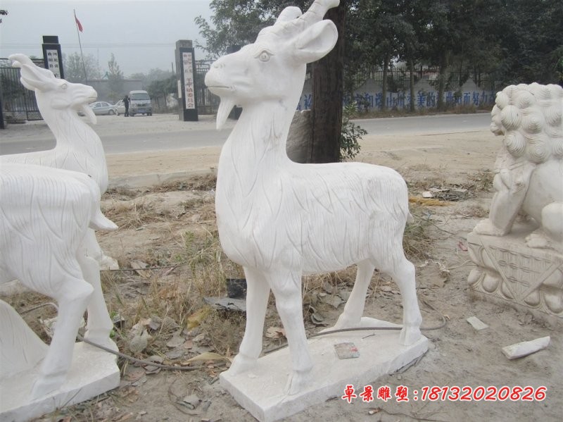 石雕山羊，汉白玉动物石雕 