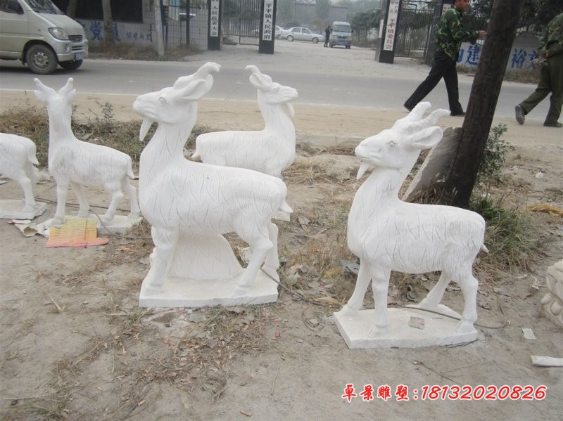 石雕山羊，汉白玉动物石雕 