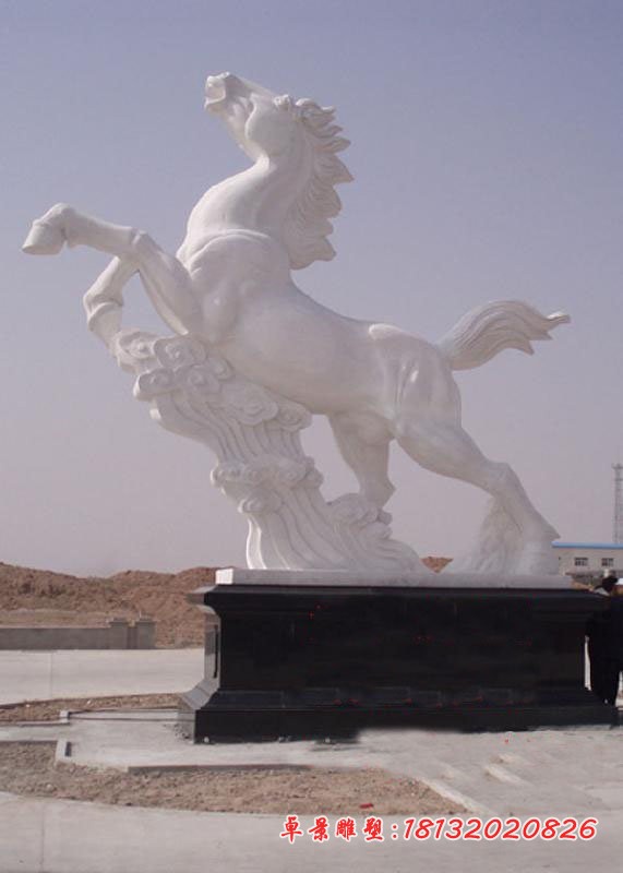 腾云飞马石雕 广场汉白玉马