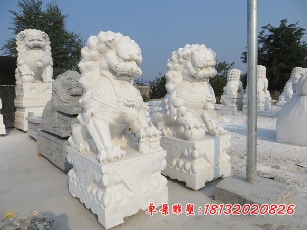 踩球北京狮石雕汉白玉狮子雕塑 (