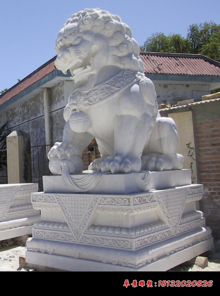踩球北京狮石雕汉白玉狮子雕塑