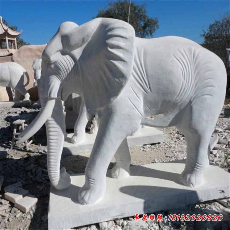 大理石大象雕塑,企业门口大象石雕