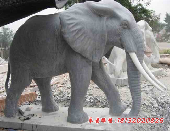 公园大理石大象雕塑 石雕大象