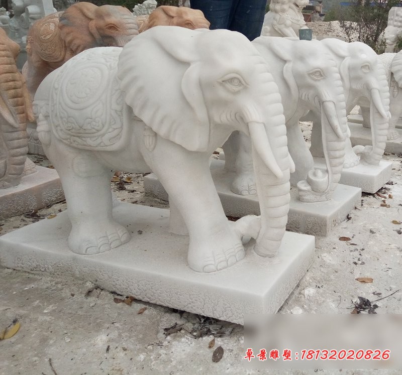 汉白玉大象，石雕动物