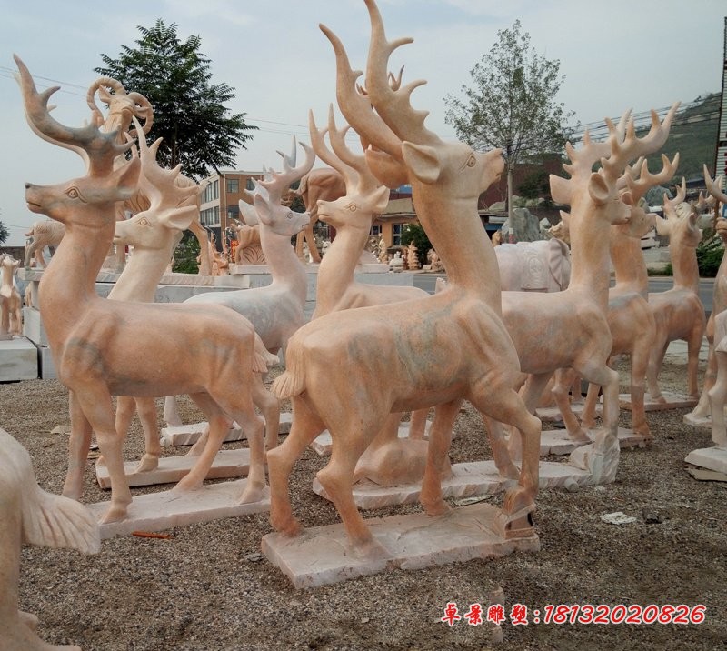 石雕鹿，晚霞红公园动物石雕 