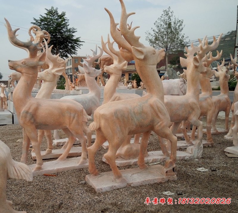 石雕鹿，晚霞红公园动物石雕 