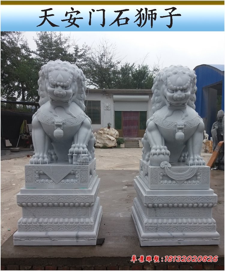 石雕狮子，天安门狮子 (5)