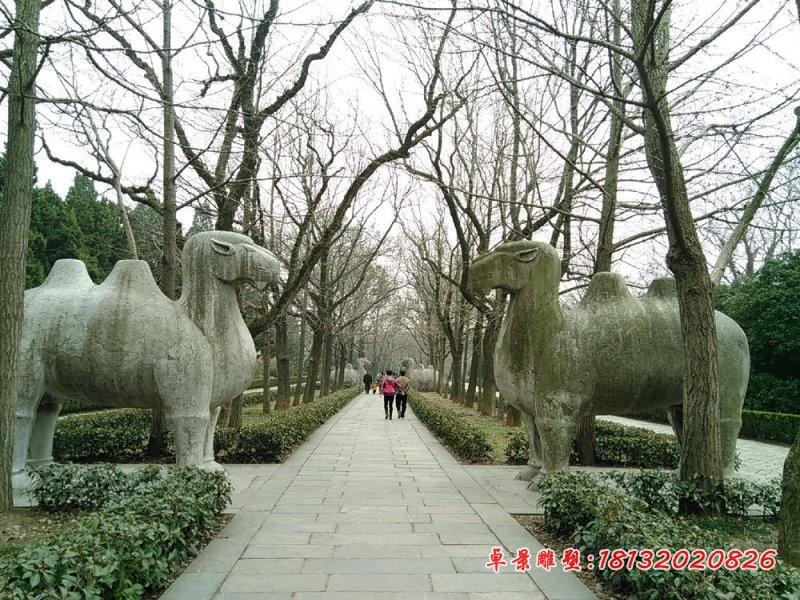 抽象骆驼石雕公园动物石雕