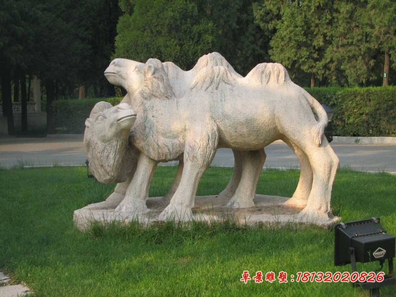 石雕骆驼 石雕动物  公园景观石雕