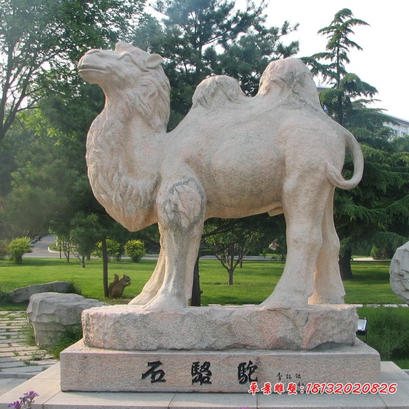 石雕骆驼大理石公园动物石雕