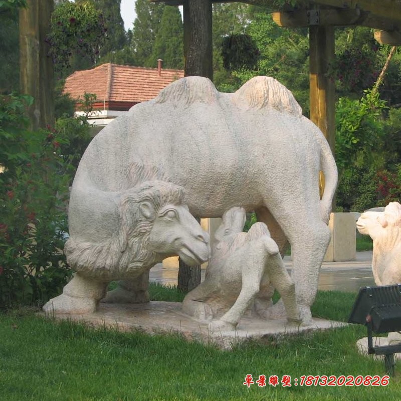 石雕母子骆驼公园动物石雕