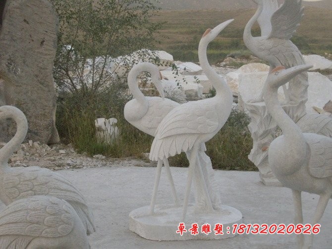 石雕仙鹤 汉白玉动物石雕 (2)