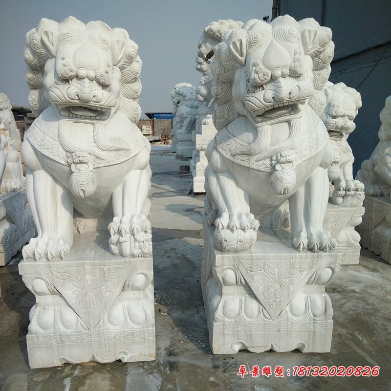 石雕北京狮 汉白玉踩球狮子石雕 (2)