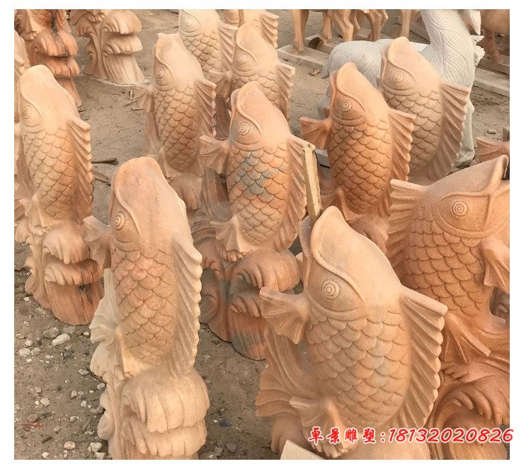 晚霞红喷水鲤鱼，石雕喷水鱼 