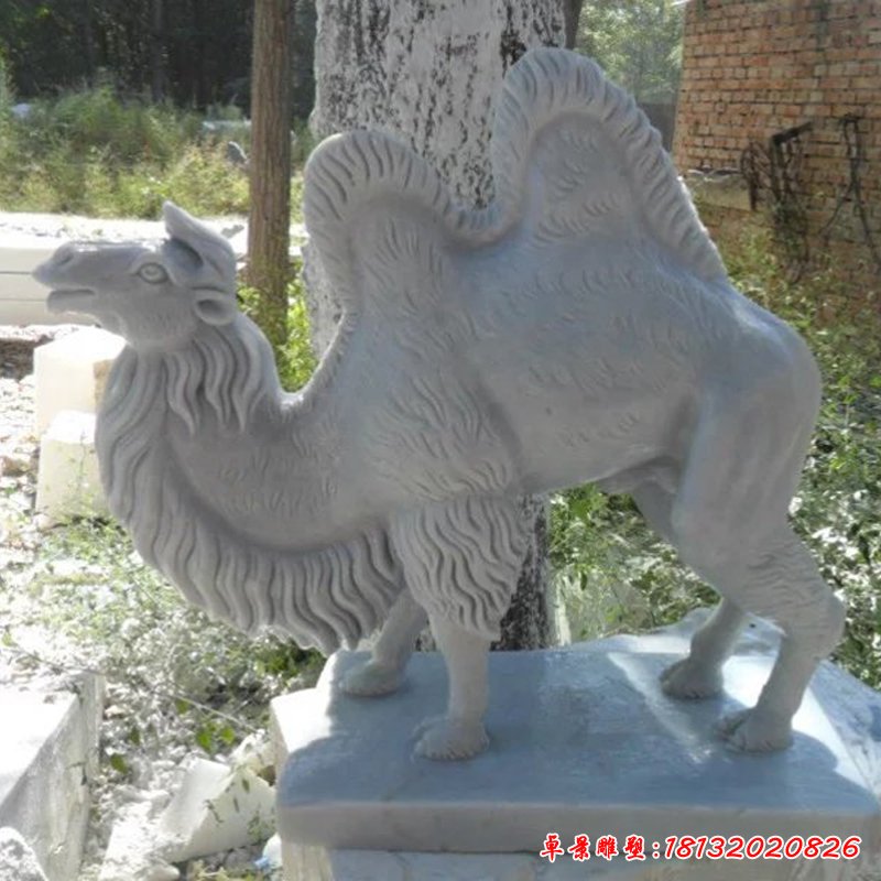 骆驼石雕，汉白玉骆驼雕塑
