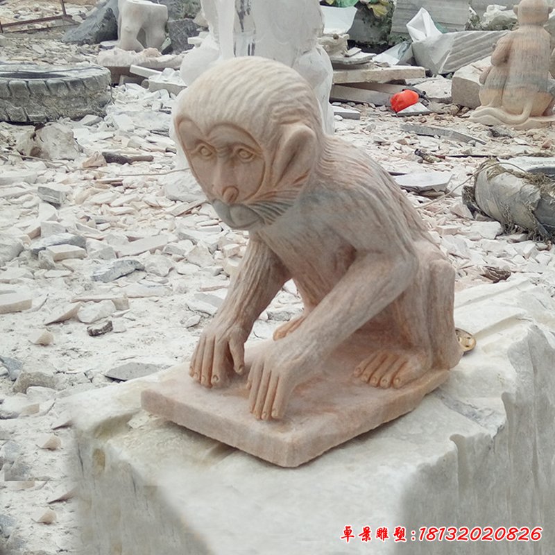 石雕猴 (90)