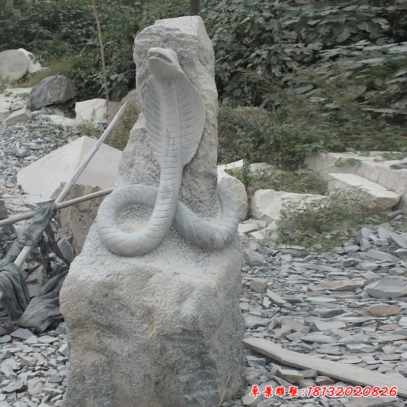 生肖蛇石雕 (20)